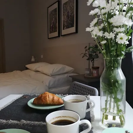 格南房屋公寓酒店 波兹南