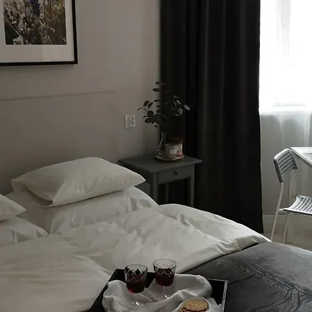 公寓 格南房屋公寓酒店 波兹南